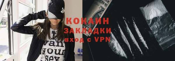 ГАЛЛЮЦИНОГЕННЫЕ ГРИБЫ Абаза