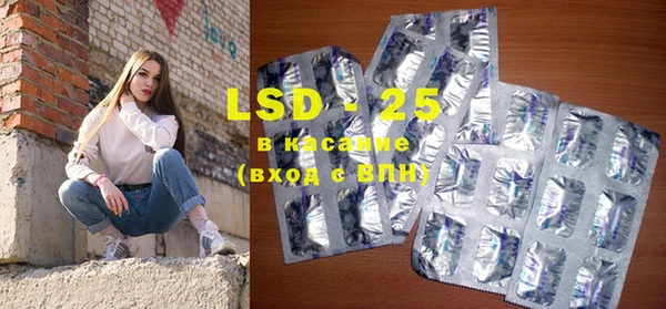 ГАЛЛЮЦИНОГЕННЫЕ ГРИБЫ Абаза