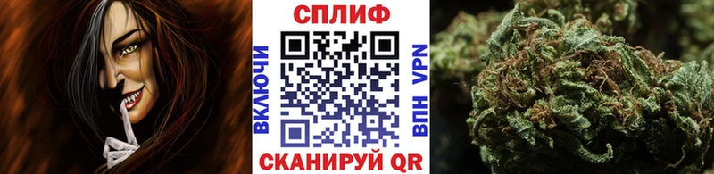 Каннабис White Widow  hydra tor  Архангельск 
